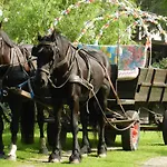 Wirtshaus 3* Neuenkirchen auf Rugen