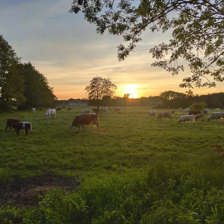 Guest house Wirtshaus Neuenkirchen