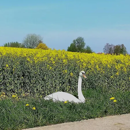 Wirtshaus 3* Neuenkirchen auf Rugen
