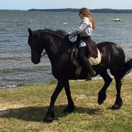 Guest house Wirtshaus Neuenkirchen 3*