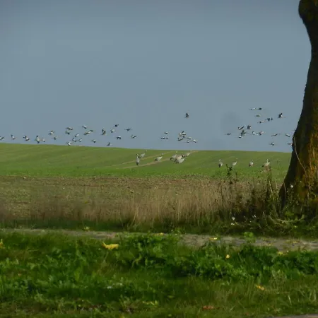 Wirtshaus Neuenkirchen Guest house 3*