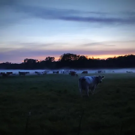 Wirtshaus Neuenkirchen Guest house