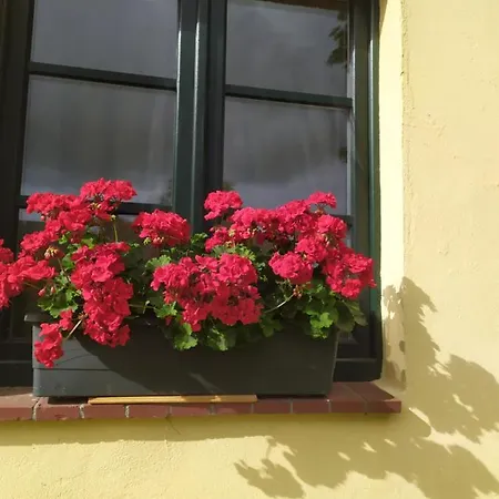 Wirtshaus Neuenkirchen Guest house