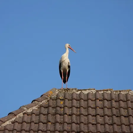 Affittacamere Wirtshaus