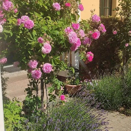 Wirtshaus Neuenkirchen Pensión Neuenkirchen auf Rugen