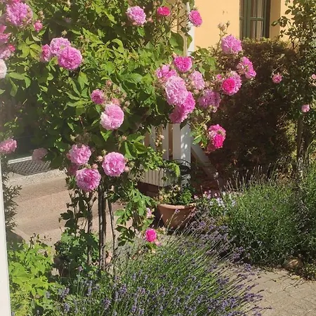 Wirtshaus Affittacamere Neuenkirchen auf Rugen