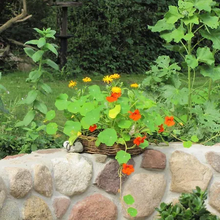 Wirtshaus Neuenkirchen 3* Neuenkirchen auf Rugen